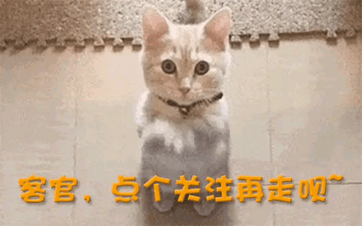 中产最爱的电商平台停运曾叫板淘宝！j9国际烧光3000万美元！又一(图1)