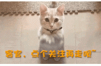 中产最爱的电商平台停运曾叫板淘宝！j9国